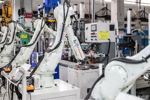 续命还是趋势？外贸企业“出口转内销”的真心话与大冒险